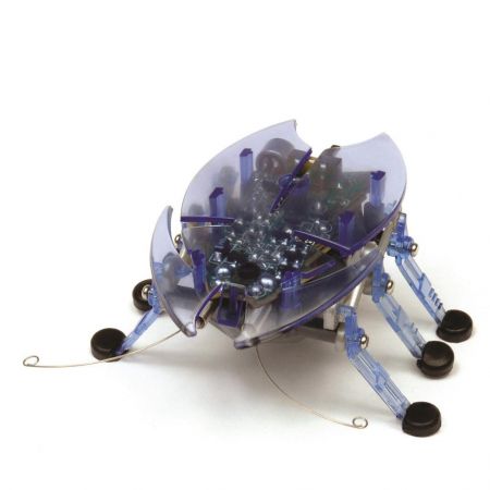 HEXBUG Robotický brouk Beetle Modrý