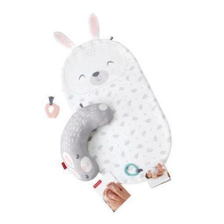 Fisher Price Masážní dečka baby bunny GJD32