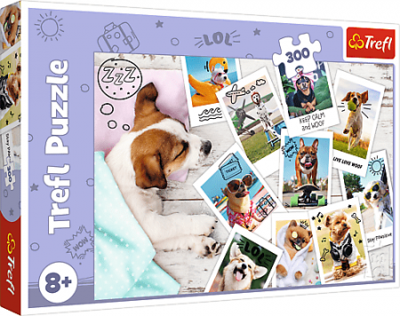 TREFL - Puzzle 300 - Fotky z dovolené