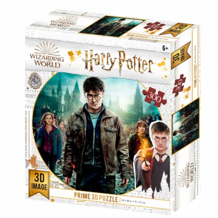 3D puzzle Harry Potter-Harry,HermioneandRon 300ks