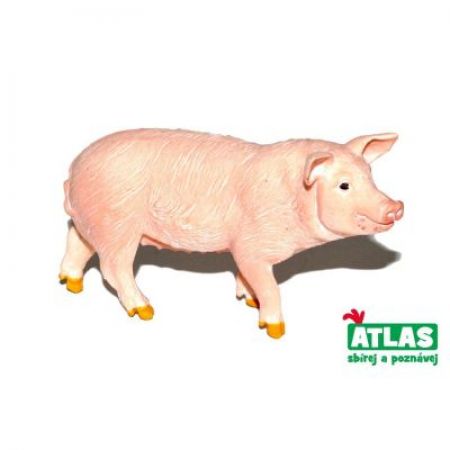 Atlas B Prase 9 cm