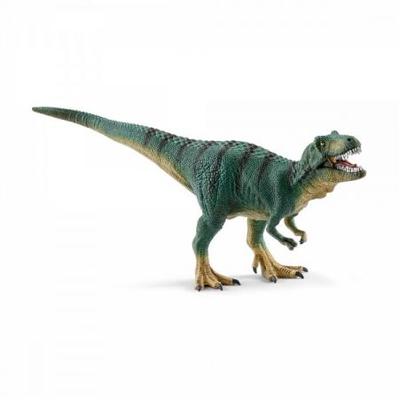 Prehistorické zvířátko - Tyrannosaurus Rex mládě DS38340322