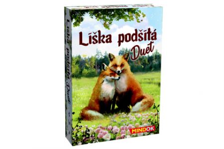 Liška podšitá duet DS47755591