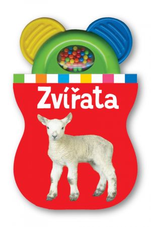 Zvířata