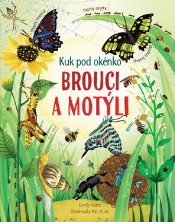 Svojtka Brouci a motýli